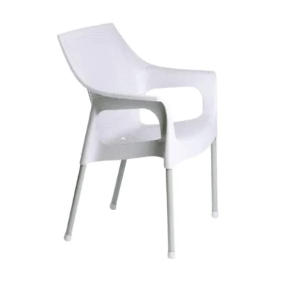 SILLON 2011