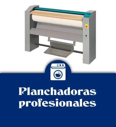 Planchadoras profesionales