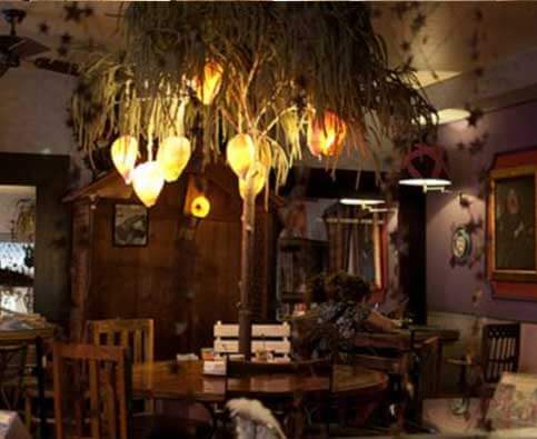 Ambiente de bar 8